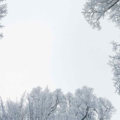 winter camping at Woodchip Campground