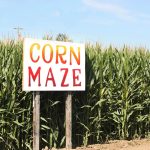 Fun fall things to do near Woodchip Campground in Byron Center MI