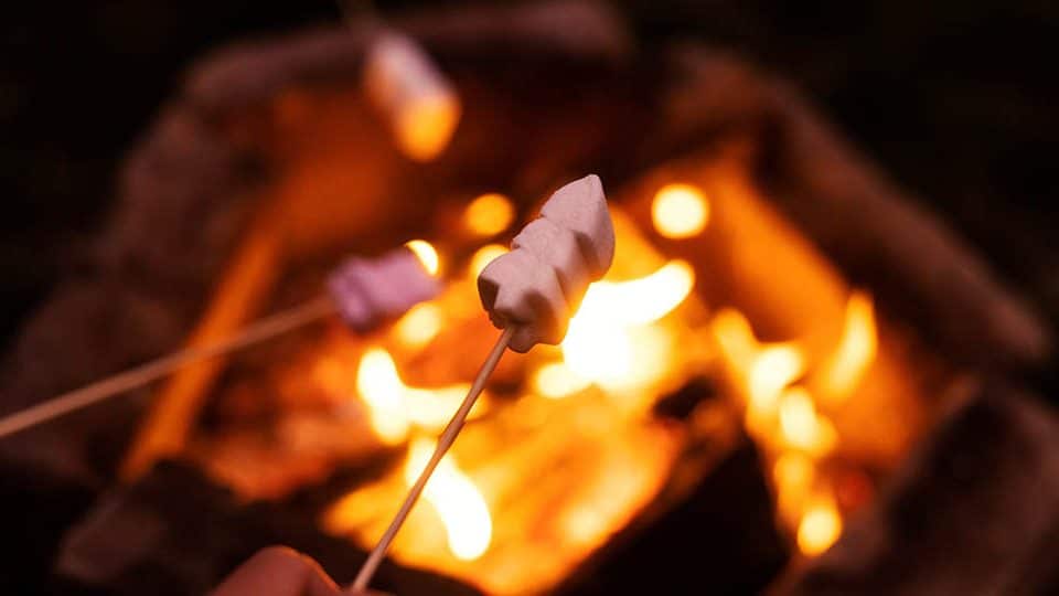 Family preparing a meal around a campfire at a campground