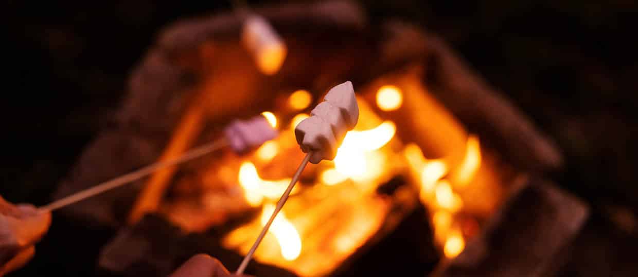 Make your campfire and have a s'more at Woodchip Campground